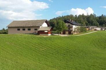 پانسیون Apartment Vrtacnik