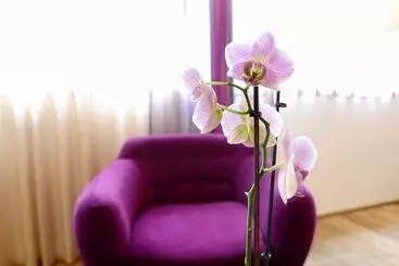 Majatalo Brandmayerhof