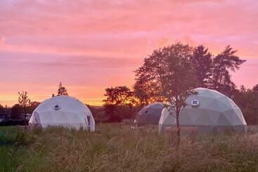 Bed and Breakfast 7 Sources