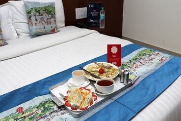 酒店 Oyo Premium Green Tax Barrier Manali