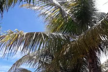 Margarita Del Sol Hotel Costa Maya