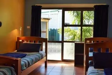 Cămin The Bug Backpackers