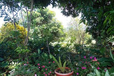 پانسیون Chez Perle Guest House