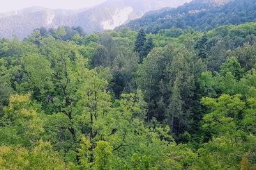 Pensão Olympus House