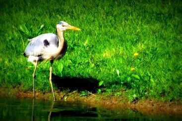 צימר Evonne S Sharing House