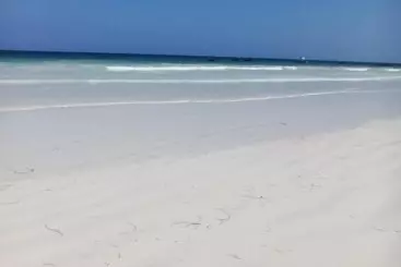 هتل Simba Oryx Beach Cottages