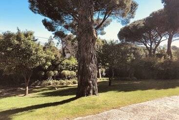 Soul Lab Residency Estoril   Hostel