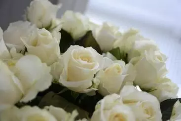 Bed and Breakfast Heal House