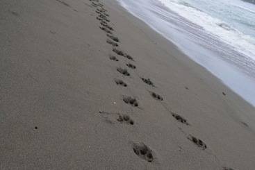 호텔 The Lookout Inn Lodge