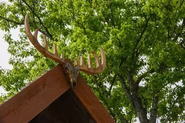 Hotelli Vikings Villages Resort