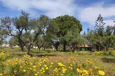 田舎風ホテル Lithies Organic Farm