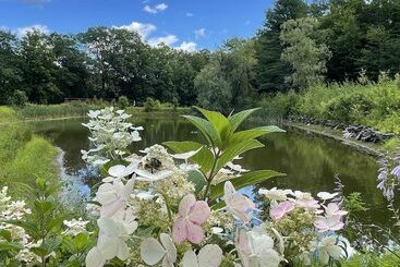 Pansiyon Willow Vermont