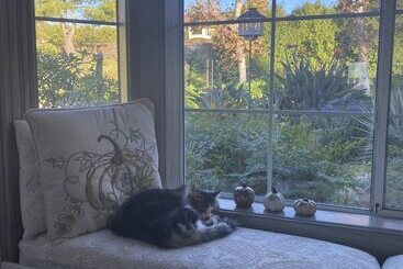 مبيت وإفطار Twboord