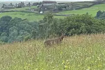 Inviting 4 Berth Caravan In Hebden Bridge