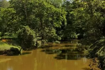田舎風ホテル Solar Fazenda Do Cedro