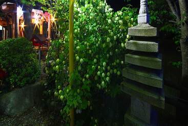 Cheongsong Hwangto Bungalow Pension