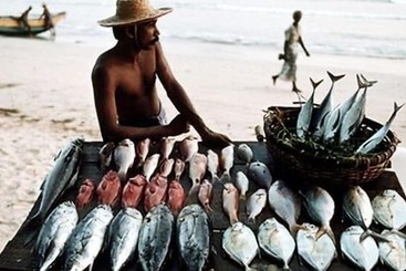 Отель Bougainvilla