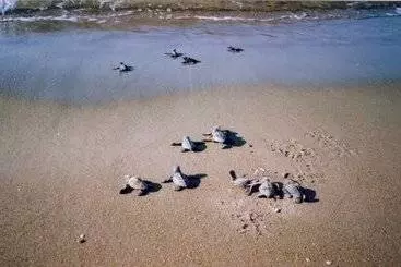 Antonios Village Hotel & Apartments