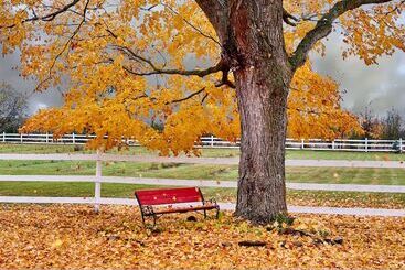 Enduring Heart Bed And Breakfast Inc