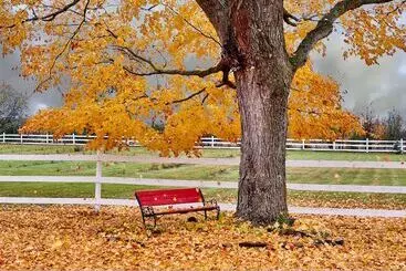 Enduring Heart Bed And Breakfast Inc