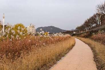Jeonju Jeonju Hanok Gohui Pension