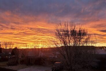 فندق على الطريق The Carter Inn