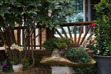 Taean Aloenara Pension