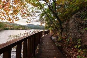 Fortune Pension Dolce Vita