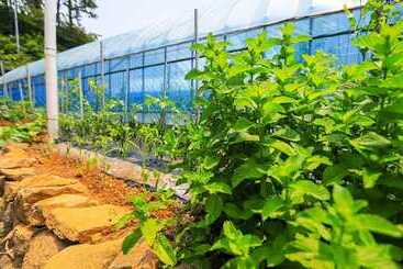 Yeosu Banditbul Hwangto Pension