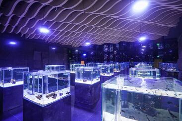 Otel Sanya Discovery Ocean World