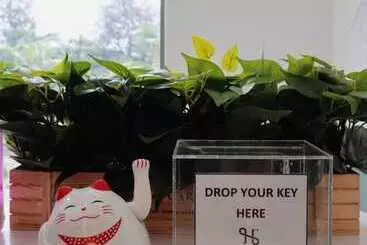 Majatalo Homi Oasis 和逸绿洲