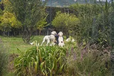 Yakumama Hostel Y Restaurant