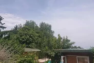 Pensione Green Bungalow