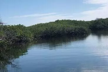 Aamiaismajoitus (B&B) Alcatraz