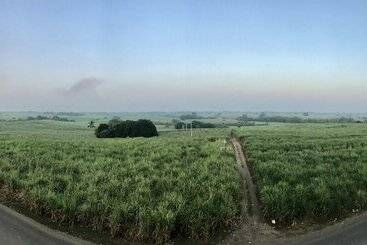 Отель Real De Guadalupe