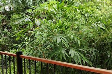 Pension Haven Vietnam