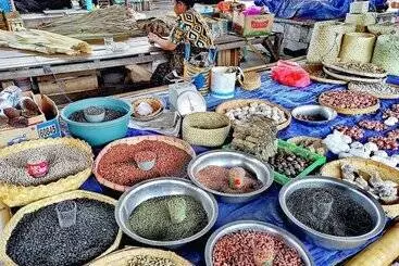 Hotel Coconut Garden Beach Resort