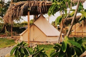 El Zoo Hostel & Pool