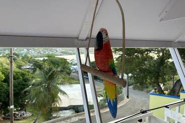 Hotel Culebra Ocean View