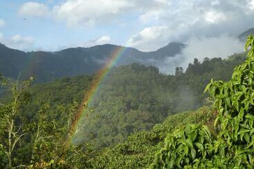 Desarrollo Biodiverso