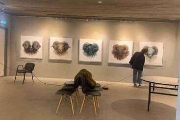 پانسیون Brúnir