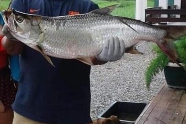 Pensiune Guesthouse La Ressource