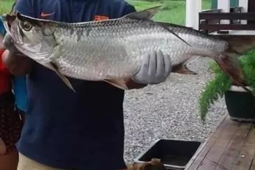 Pension  Guesthouse La Ressource