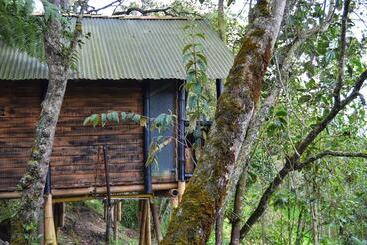 ホテル Cabañas Y Restaurante El Viejo Tambo