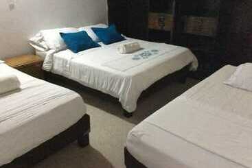 Palm Tree Hostal Medellin Hostel