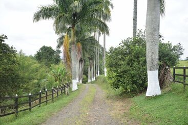 Pansiyon Kamal Country House