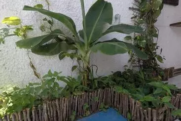 La Playa Hostel