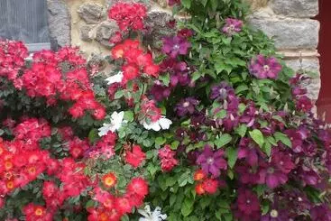 Majatalo Moulin De Courlas   Chambres D Hôtes