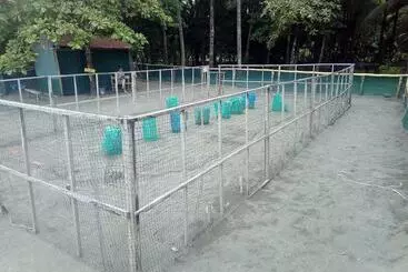 Posada Alroma   Hostel