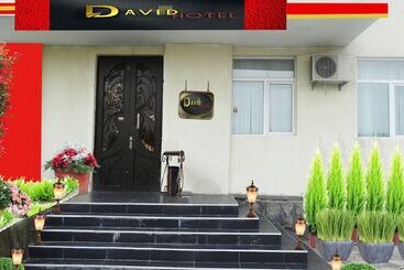 Hotel David